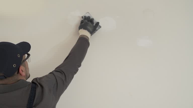 Best Wallpaper Removal and Painting  in Ridgway, CO